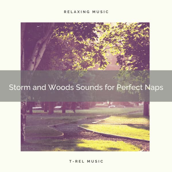 Storm and Woods Sounds for Perfect Naps - Deep Rain Sampling