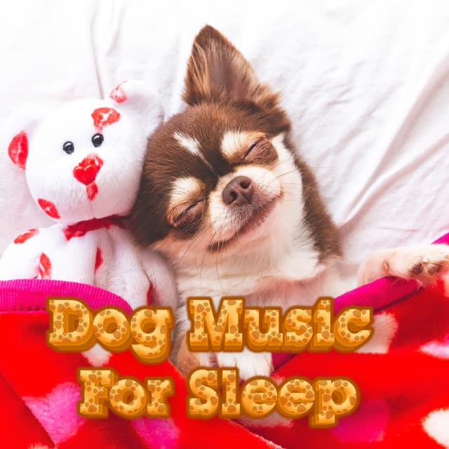Ambient Sleep Music For Dogs