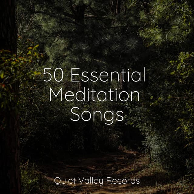 50 Essential Meditation Songs - Binaural Beats Brainwave Entrainment