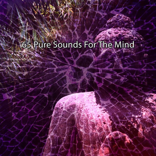 65 Pure Sounds For The Mind - Zen Meditate