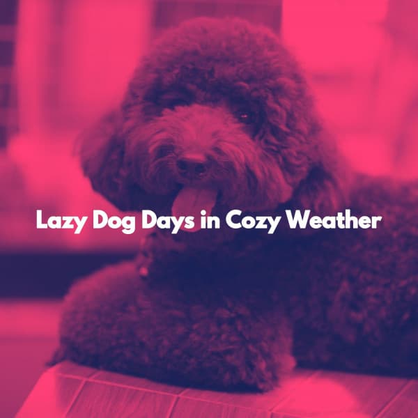 Lazy Dog Days in Cozy Weather - Jazzy VIbes for Study Time