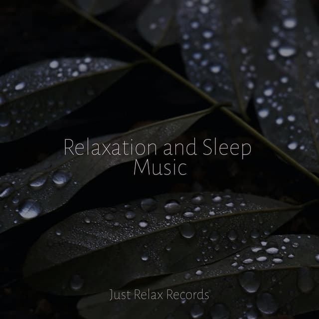 Relaxation and Sleep Music - Alpha Waves