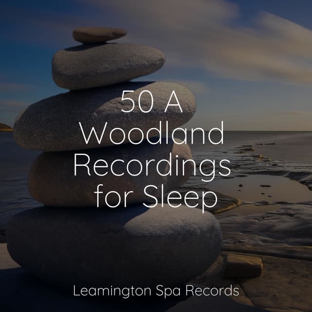 50 A Woodland Recordings for Sleep - Lullaby Rain