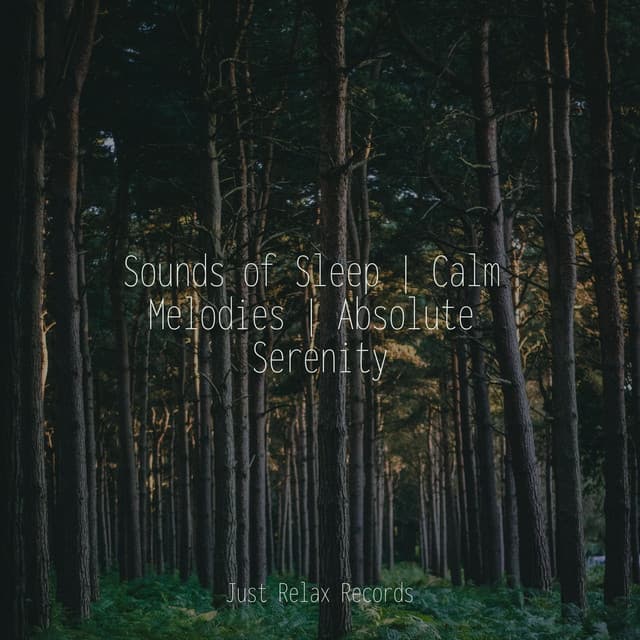 Sounds of Sleep | Calm Melodies | Absolute Serenity - Ambient