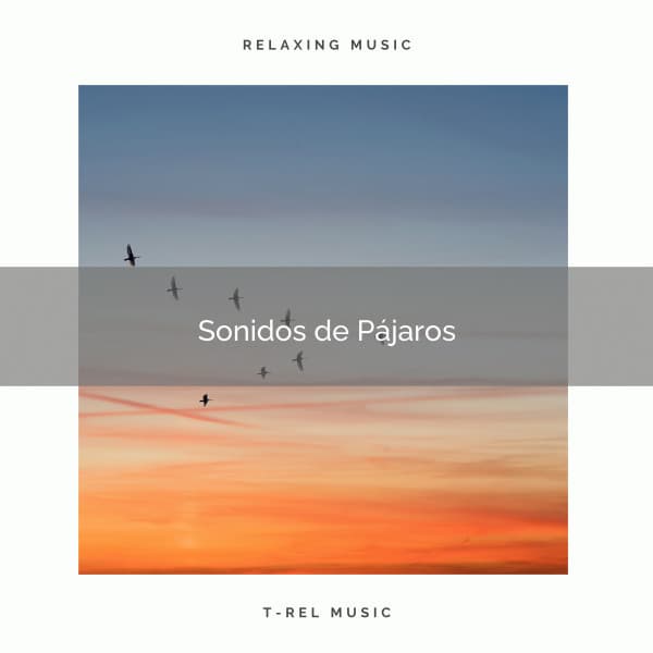 1 Sonidos de Pájaros - Sonidos De Pajaros