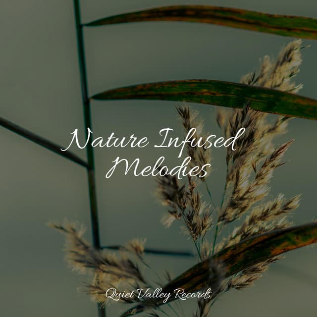 Nature Infused Melodies - Master Meditação