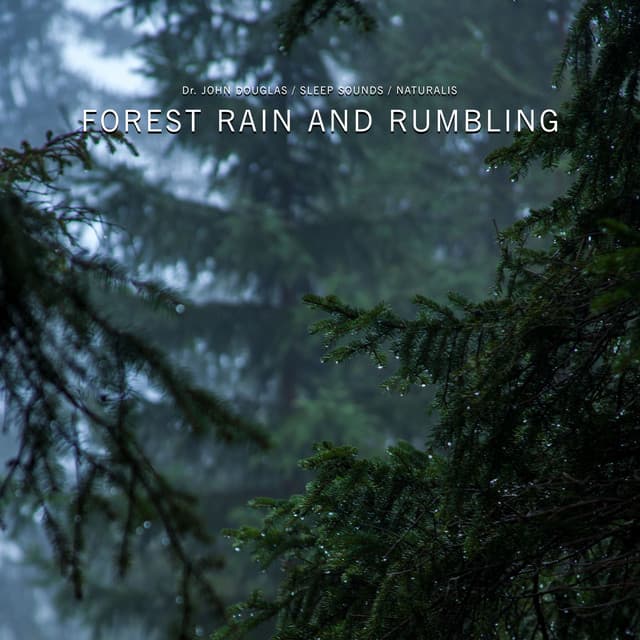 Forest Rain and Rumbling - Dr. John Douglas