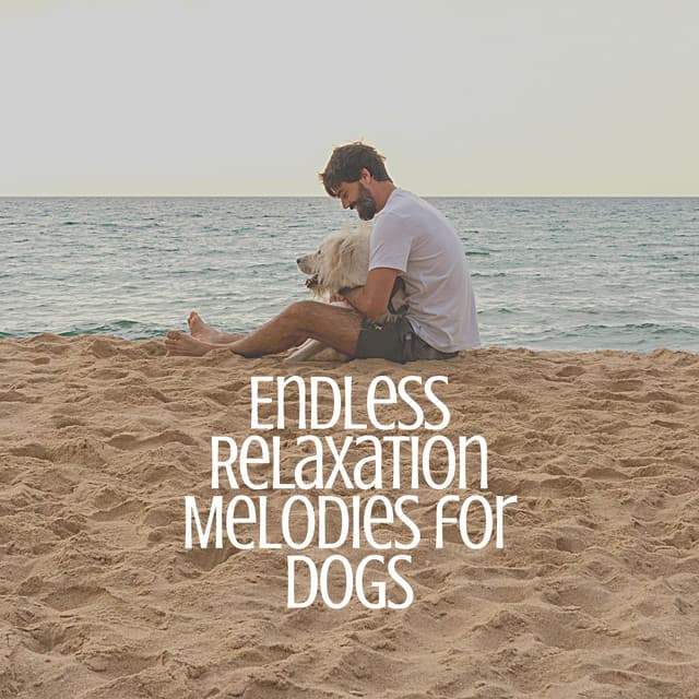 Endless Relaxation Melodies for Dogs - Music for Calming Dogs