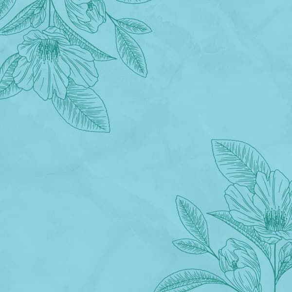 Music for Dreamy Days - Music for Work