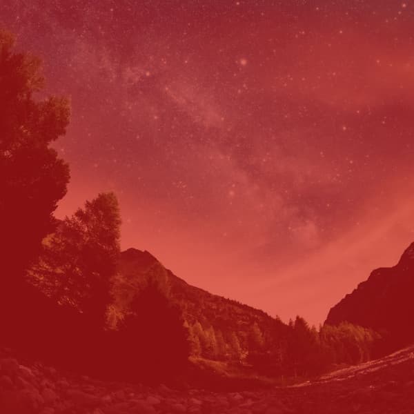 Music for Creative Daydreams - No Drums Jazz - Working from Home Playlist