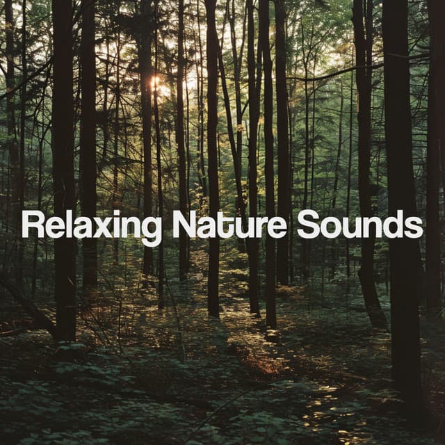 Relaxing Nature Sounds - Nature Sounds Nature Music