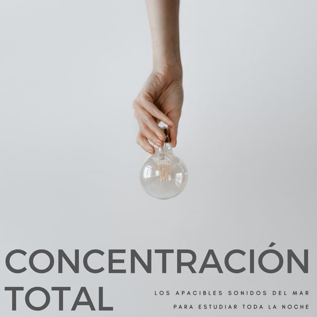 Concentración Total: Los Apacibles Sonidos Del Mar Para Estudiar Toda La Noche - Música Relajante Para Leer
