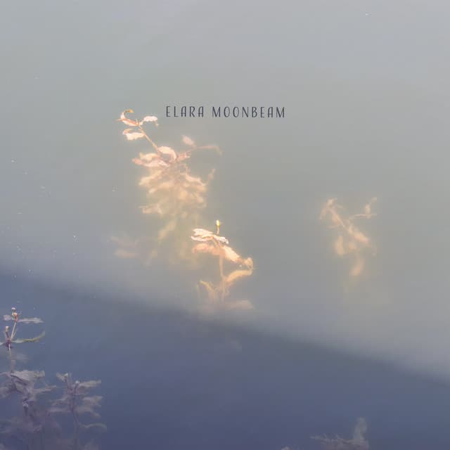 Submerged in Soft Knowing - Elara Moonbeam