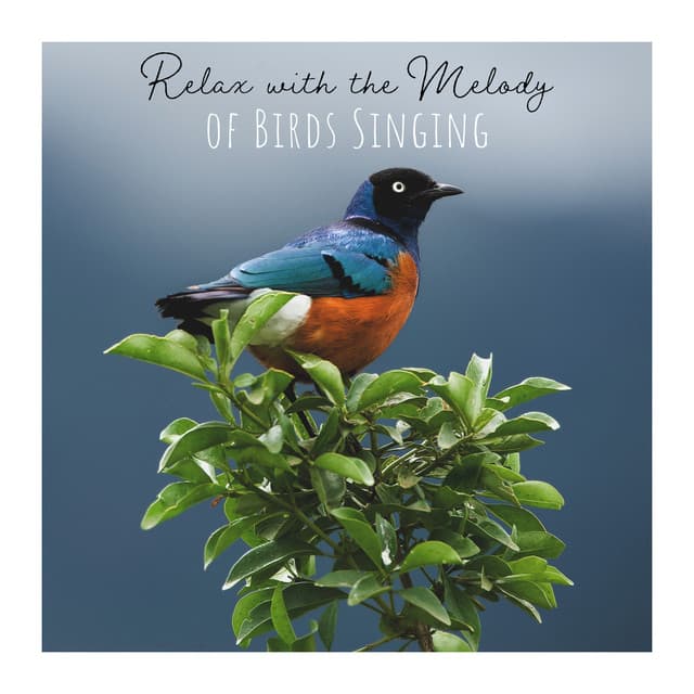 Relax with the Melody of Birds Singing - Deep Relaxation and Positive Vibes - Singing Birds Zone