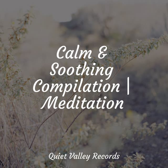 Calm & Soothing Compilation | Meditation - Thunder Storm