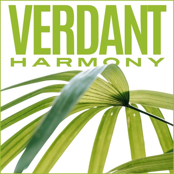 Verdant Harmony - Calming Sounds