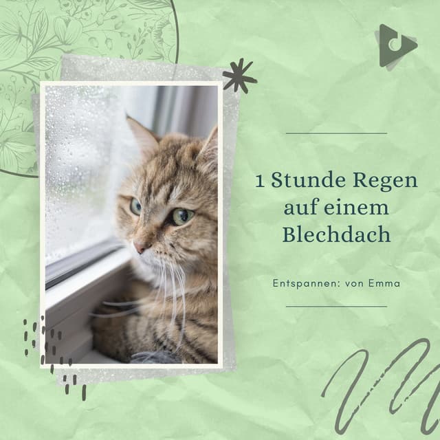 1 Stunde Regen auf einem Blechdach - Entspannen: von Emma