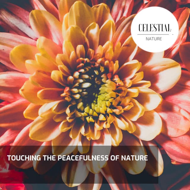 Touching the Peacefulness of Nature - Nature Radiance