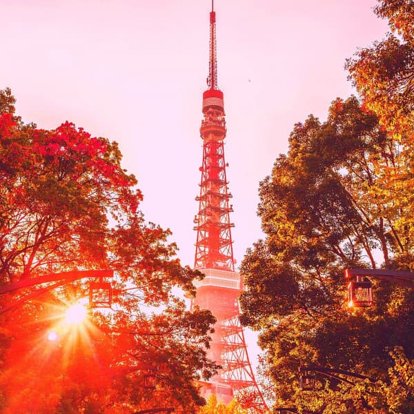 Music for Chilling with LoFi - Lo-fi Hip Hop Beats