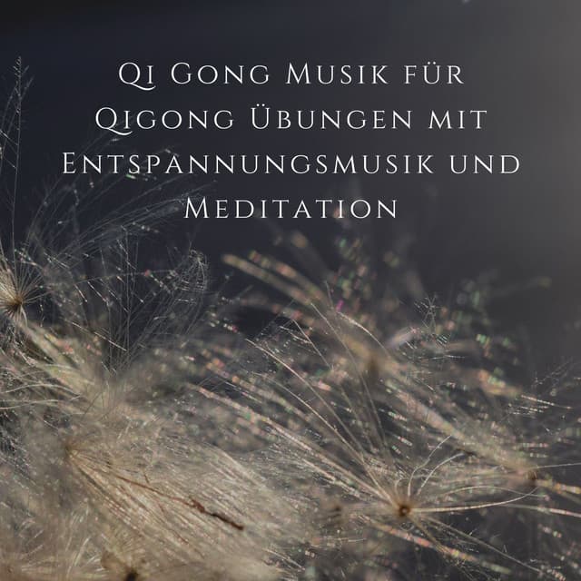 Qi Gong Musik für Qigong Übungen mit Entspannungsmusik und Meditation - Entspannungsmusik Universe