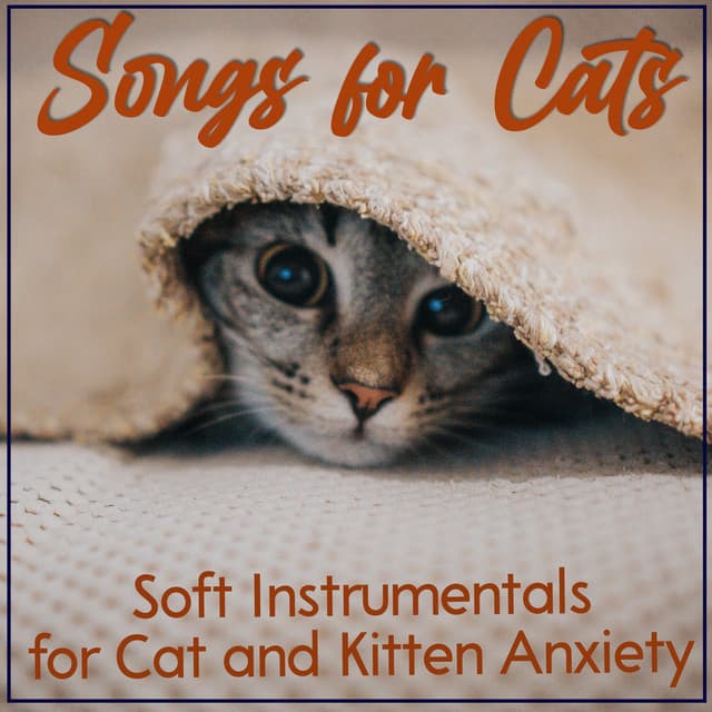 Songs for Cats: Soft Instrumentals for Cat and Kitten Anxiety - Cat Music Therapy
