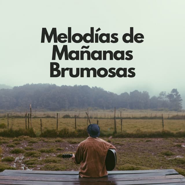 Melodías De Mañanas Brumosas - Sonidos de lluvia para conciliar el sueño