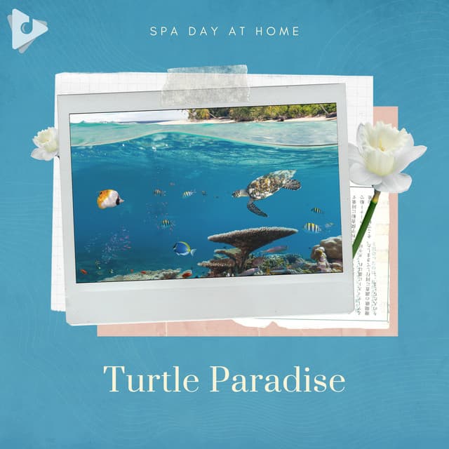 Turtle Paradise - Spa Day At Home