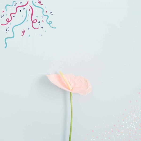 Relaxing Background Music for Stress Free Nights - Happy Afternoon Music