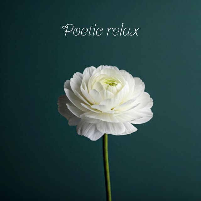 Poetic Relax: Tranquil Anti-Stress Moments with Piano - Soft Instrumental Piano