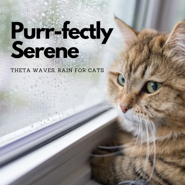Purr-fectly Serene: Theta Waves, Rain for Cats - Calming Cat Music