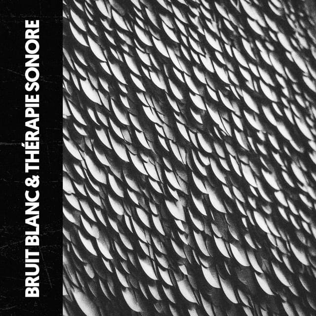 Bruit Blanc & Sonothérapie : Calme dans le Bruit - Ruido Blanco Hart