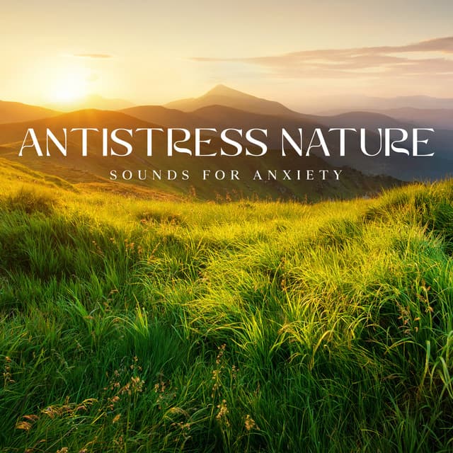 Antistress Nature: Sounds for Anxiety Relief, Detachment from Overthinking, Daily Relaxation Music - Hypnosis Nature Sounds Universe