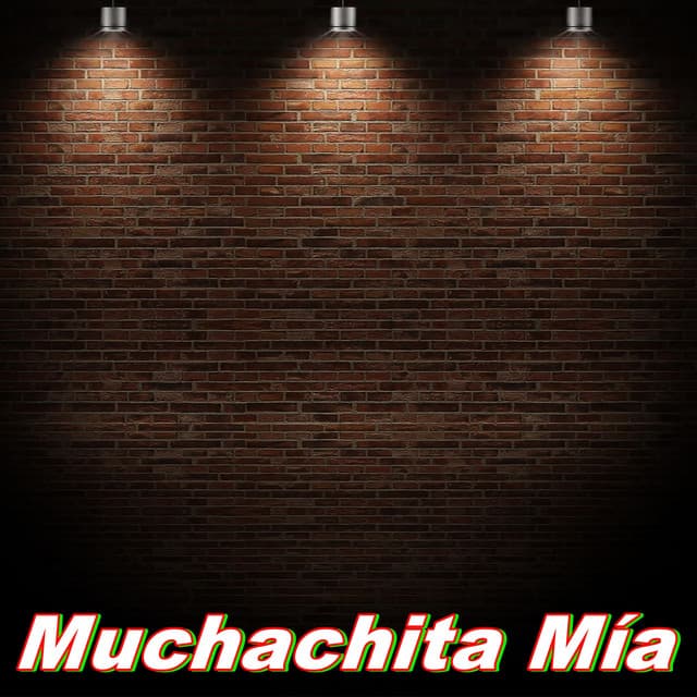 Muchachita Mía - Frank The Instrumentalist
