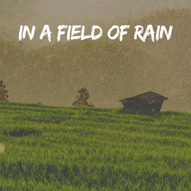 In a Field of Rain - Rain Lullaby
