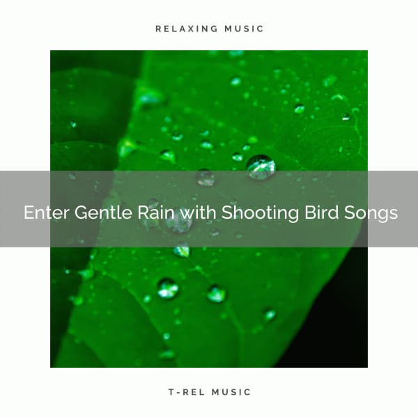 1 Enter Gentle Rain with Shooting Bird Songs - Deep Rain Sampling