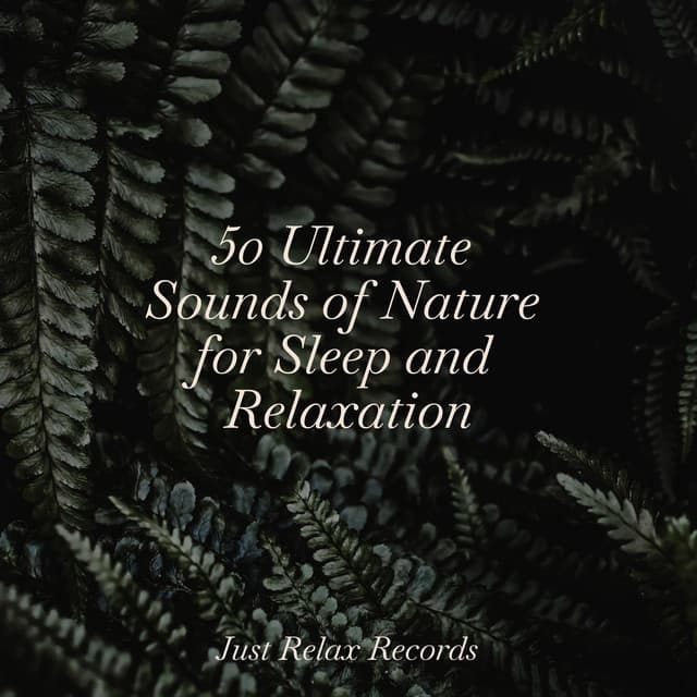 50 Ultimate Sounds of Nature for Sleep and Relaxation - Meditación