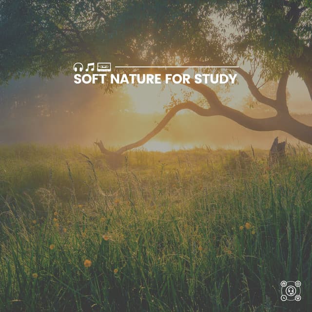 Soft Nature for Study - The Nature Soundscapes