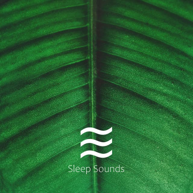 Natural Still Sounding Various Noises for Sleeping - Wave Sounds For Sleep