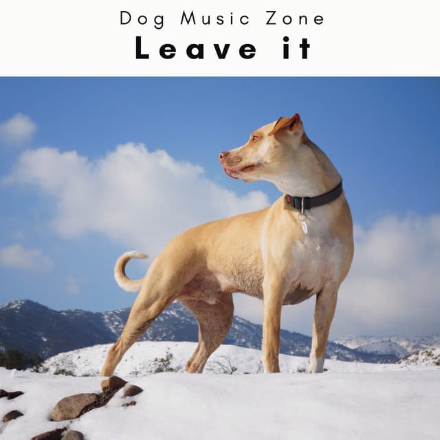 2 0 2 3 Leave it - Dog Music Zone