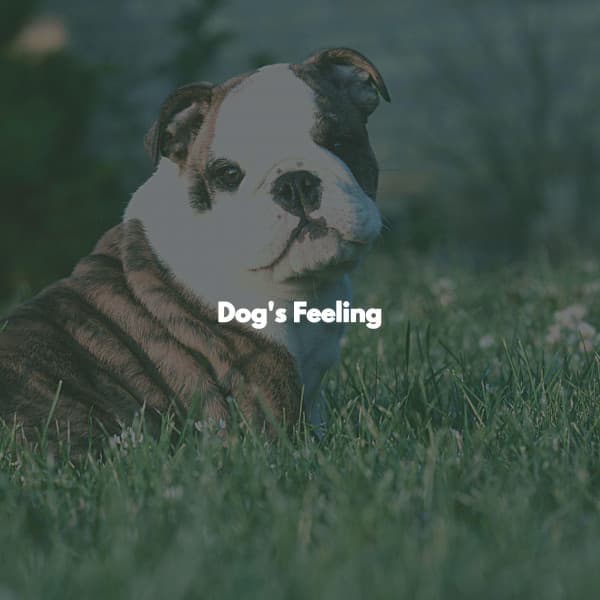 Dog's Feeling - Kaffeehaus Jazz