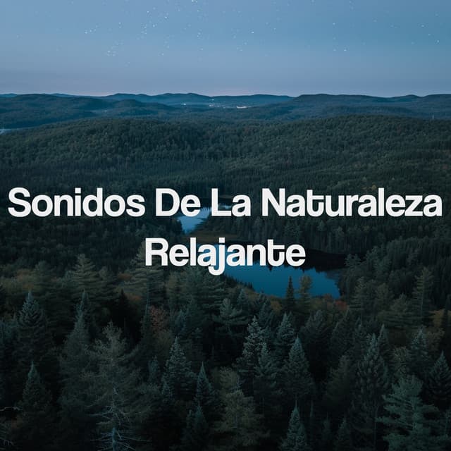 Sonidos De La Naturaleza Relajante - Deep Sleep