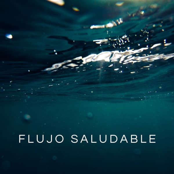 Flujo Saludable - Relajación Con Música En El Balneario