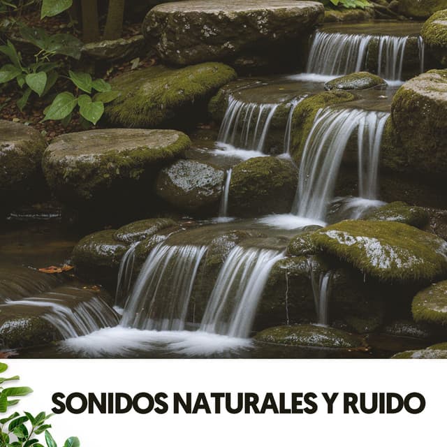 Sonidos Naturales y Ruido: Symphony of Serenity - Ruido Blanco Hart