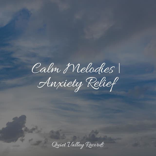 Calm Melodies | Anxiety Relief - Rain and Nature