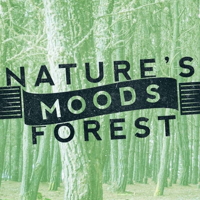 Nature's Moods: Forest - Nature's Mystic Moods