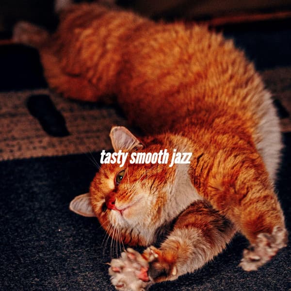 tasty smooth jazz - Moderno Cafe Jazz