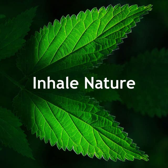 Inhale Nature - The Calm Factory