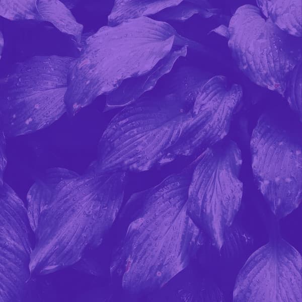 Music for Recharging Rest - Glockenspiel Music - Instant Relax