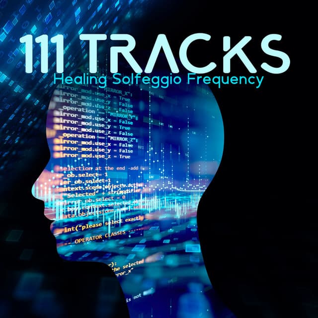 111 Tracks: Healing Solfeggio Frequency - Joel Hertz