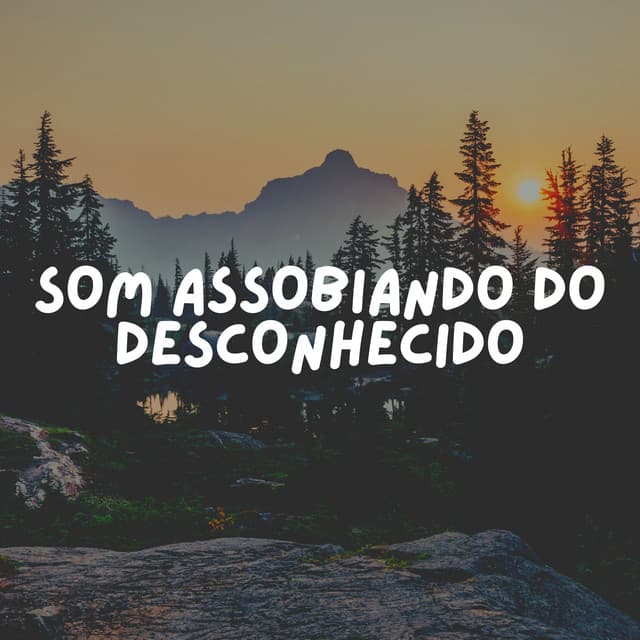 Som Assobiando Do Desconhecido - Relaxantes Natureza Zona